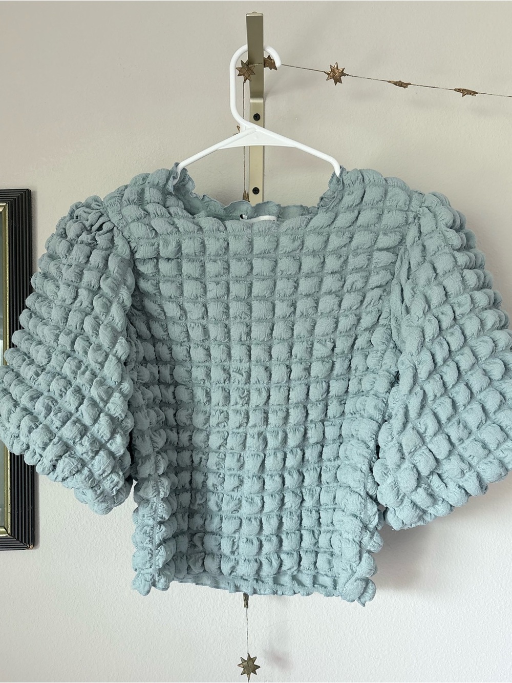 Women's Textured Puff-Sleeve Top in Light Sage